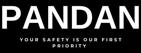 PANDANTRAVEL LLC